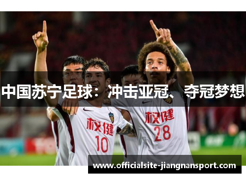 中国苏宁足球:冲击亚冠、夺冠梦想
